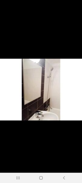 Studio Apartment Floreasca Regina Maria